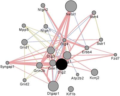 Regional Differences and Similarities in the Brain Transcriptome for Mice Selected for Ethanol Preference From HS-CC Founders